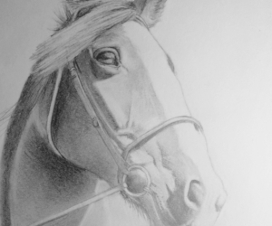 Commissioned portrait of Hannah the horse